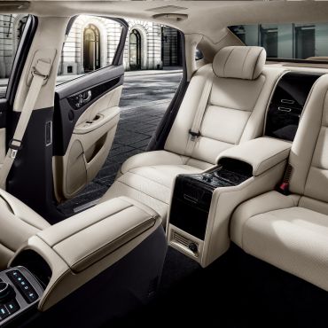 equus %2
